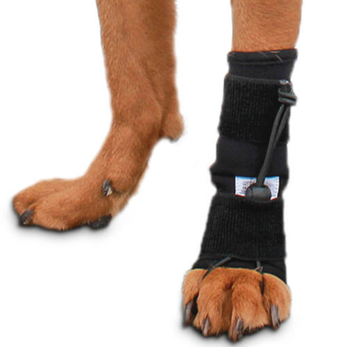 兽用腿部夹板 - Front No-Knuckling - Walkin' Pets - 犬类