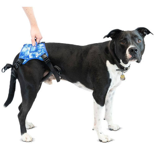 康复训练吊具 - Buddy Up™ - Walkin' Pets - 小腿 / 犬用