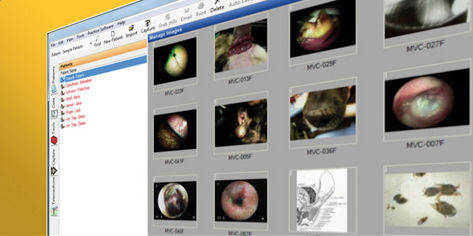 医学影像软件 - VetScope - Otopet USA - 兽用 / 医用 / 可视化
