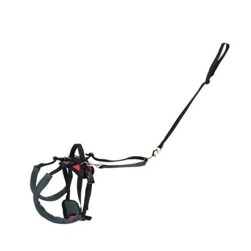 兽用吊带 - CareLift™ - PetSafe - 犬用