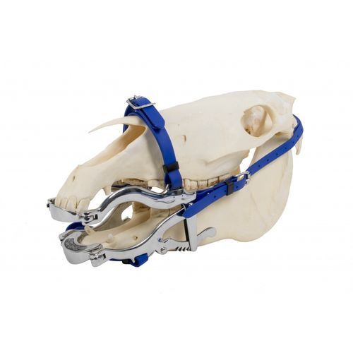 牙科兽用内窥镜 - 4000 Serie    - Equus Dental - 用于马科