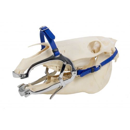 牙科兽用内窥镜 - 2000 Serie - Equus Dental - 用于马科