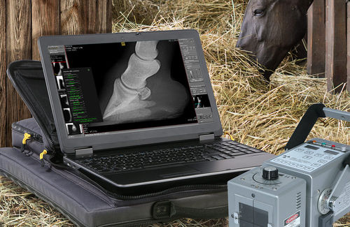 分析软件模块 - dicomPACS® vet - OR Technology - Oehm und Rehbein - 用于放射学 / 兽用