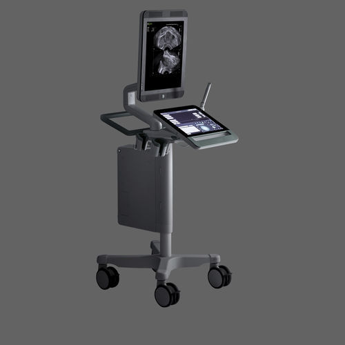 紧凑型平台B超机 - bkSpecto - BK Ultrasound - 用于泌尿科超声检查 / 黑白 / 触摸屏