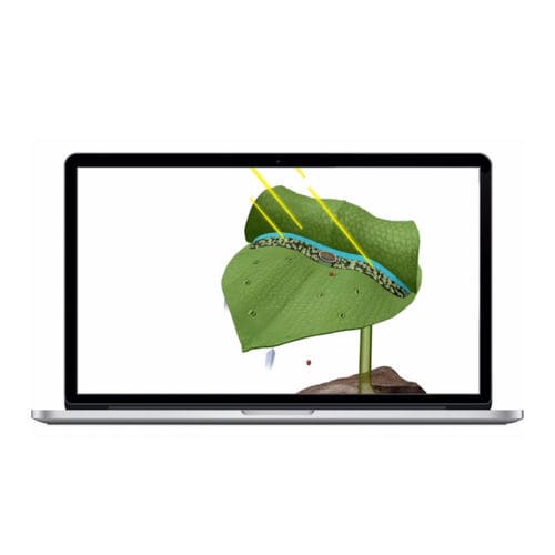 医用软件 - Visible Biology - Visible Body - 3D 可视化 / 培训 / 3D 模拟