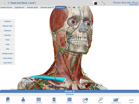 解剖学iOS应用程序 - Human Anatomy Atlas - Visible Body - 培训 / 诊断 / 图像捕获