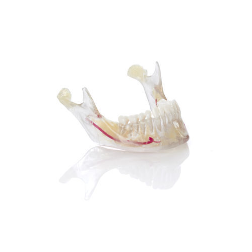 树脂材质牙科材料 - VeroDent PureWhite DEN847™ - Stratasys - 正畸 / 用于3D打印 / 模型制作