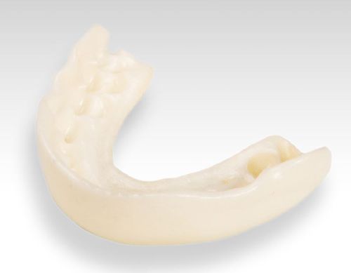 热塑性塑料牙科材料 - Addigy® P3001 - Stratasys - 用于3D打印 / 生物相容性