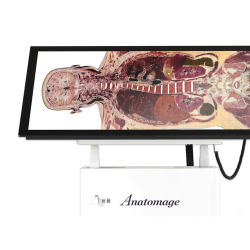 教学解剖台 - Alpha - Anatomage - 虚拟解剖 / 长方形