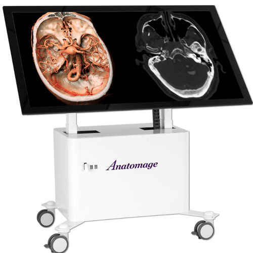 教学解剖台 - Anatomage - 移动式 / 长方形