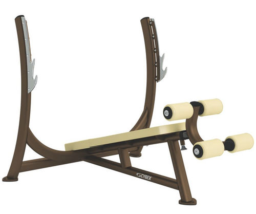 倒置哑铃凳 - Free Weights - Cybex - 带哑铃架