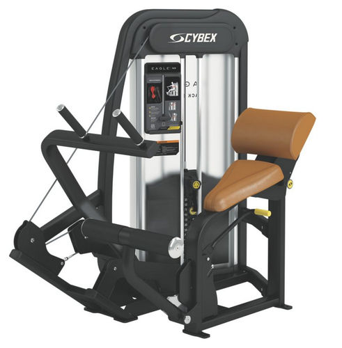 背部拉伸健身器械 - Eagle NX - Cybex