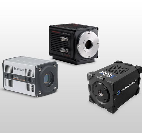 显微镜摄像机 - sCMOS - Evident - Olympus Scientific Solutions - 数字 / CMOS / sCMOS