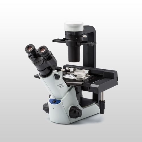 倒置显微镜 - CKX53 - Evident - Olympus Scientific Solutions - 光学 / 实验室 / 用于研究