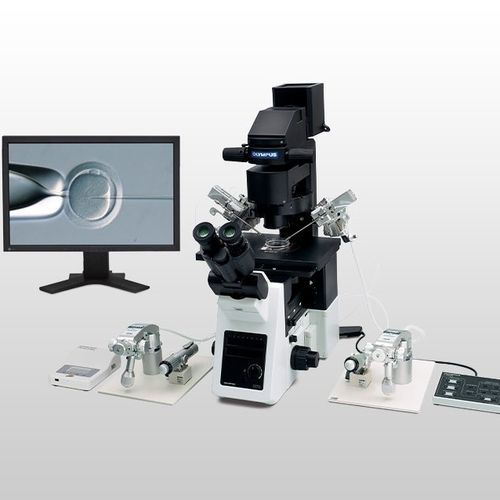 光学显微镜 - IX3-ICSI/IMSI  - Evident - Olympus Scientific Solutions - 实验室 / 倒置 / 平面