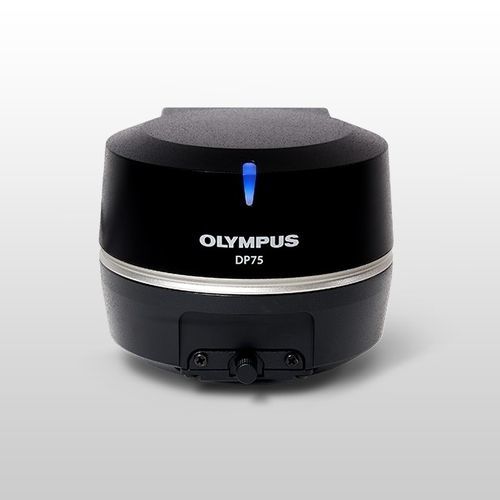 显微镜摄像机 - DP75 - Evident - Olympus Scientific Solutions - 数字 / 红外 / 荧光