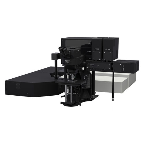 光学显微镜 - FV5000MPE - Evident - Olympus Scientific Solutions - 用于生命科学 / 用于研究 / 生物