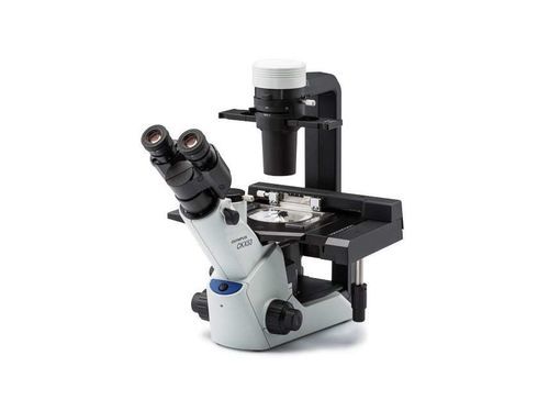 细胞培养细胞成像系统 - CKX53 - Evident - Olympus Scientific Solutions - 用于组织培养 / 制备样本 / 实验室