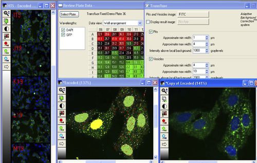 医用软件 - MetaXpress®  - Molecular Devices - 规划 / 控制 / 采集