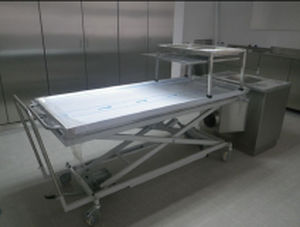 转运殡葬车 - MA-1260 - MEDIS Medical Technology - 手动 / 不锈钢 / 高度可调节