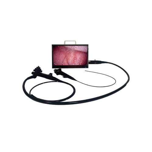 视频兽用胃镜 - BVI16 Vet - BMV - 大型动物 / 带视频显示器