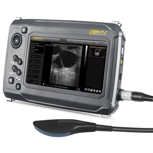 兽医超声波检查仪 / 便携式 - BestScan® S6 Convex-Array Vet - BMV - 多功能 / 小动物 / 马科动物