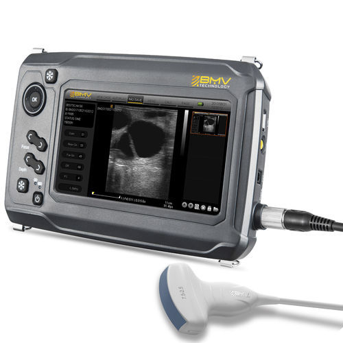 兽医超声波检查仪 / 手持式 - BestScan® S6 Convex-Array Vet - BMV - 多功能 / 小动物 / 大型动物