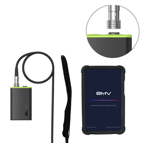 兽医超声波检查仪 / 手持式 - BestScan® S7 Endocavitary Vet - BMV - 多功能 / 小动物 / 大型动物