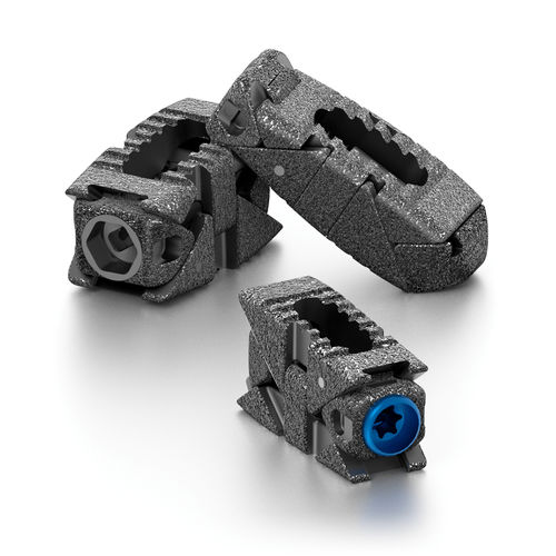 腰椎间融合器 - PROLIFT® - Life Spine - 后入路 / 椎间孔内 / 钛