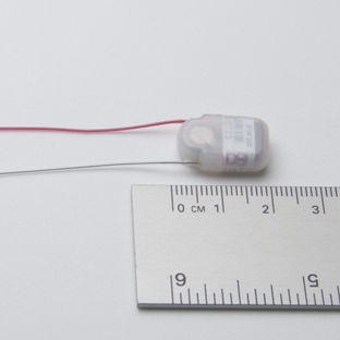 鼠类遥测植入物 - ETA-F10 - DSI - 用于动物研究 / 活动 / ECG