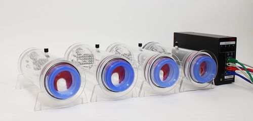 动物用体积描记仪 - Buxco® Head-out - DSI - 用于动物研究