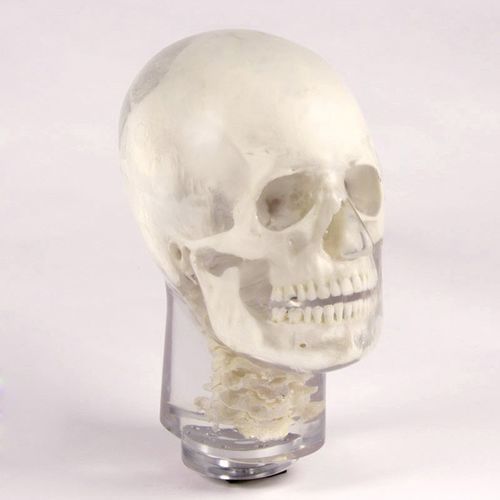 放射造影测试体模 - 12702 - QUART X-Ray QA Solutions - 头部