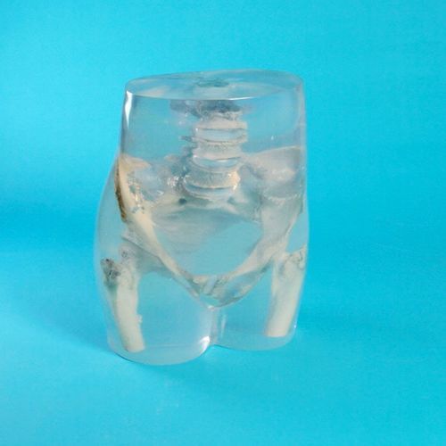 放射造影测试体模 - QUART X-Ray QA Solutions - 脊柱 / 骨盆 / 股骨