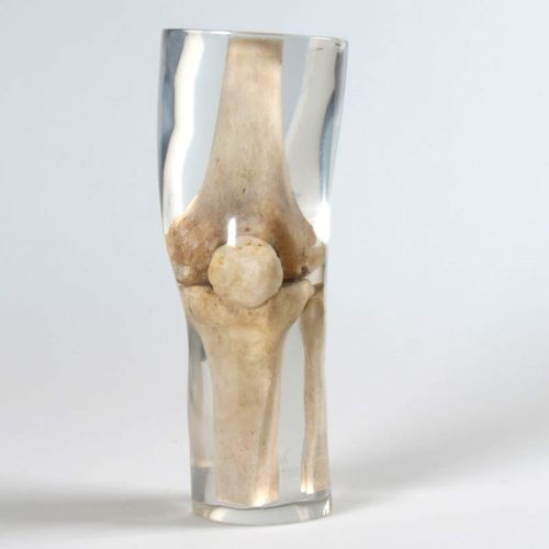 放射造影测试体模 - 12714 - QUART X-Ray QA Solutions - 腿部 / 膝盖 / 股骨
