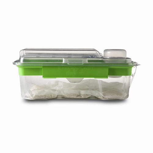 一次性实验动物笼具 - SUMC - Tecniplast - 啮齿动物 / 模块化