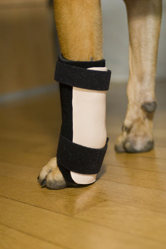 兽用腕管夹板 - Thera-Paw - 用于犬类