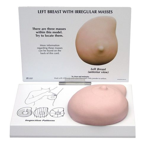 乳房解剖模型 - 3401 - GPI Anatomicals - 教学 / 用于癌症