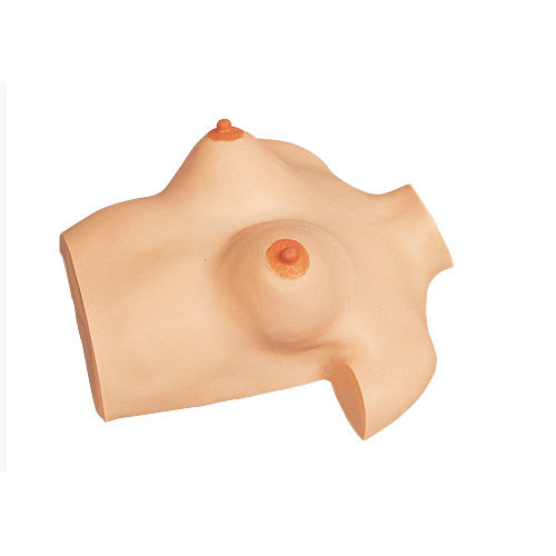 乳房触诊模拟器 - M114-1 - Sakamoto Model Corporation - 用于妇科护理 / 女性 / 乳房