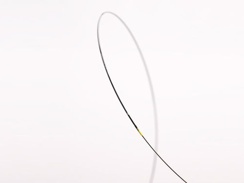 PTCA冠脉球囊导管 - Arriva™ PTCA - InSitu Technologies - 冠状动脉 / 球囊