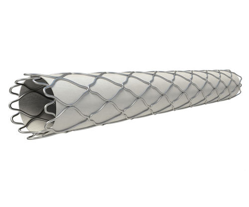 冠状动脉覆膜支架 - Direct-Stent®  - InSitu Technologies - 不锈钢