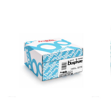 传染病快速诊断套装 - Bosphore® - Anatolia Tani ve Biyoteknoloji Urunleri Sanayi ve Ticaret A.S.  - 细小病毒 / 血清 / 等离子