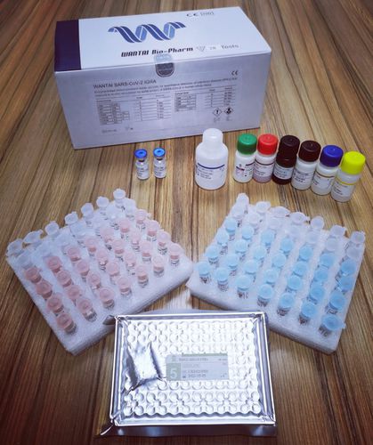 COVID-19新冠病毒快速诊断检测 - IGRA ELISA - Beijing Wantai Biological Pharmacy Enterprise Co., Ltd.  - 蛋白质 / SARS-COV-2 / 血液总量