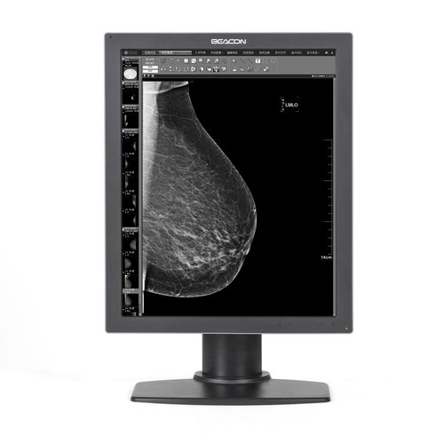 医用显示器 - G510S - Shenzhen Beacon Display Technology - 诊断 / 高解析度 / 21.3"