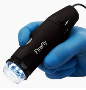 视频头皮毛发检测仪 - DE330T - Firefly Global  - 电脑