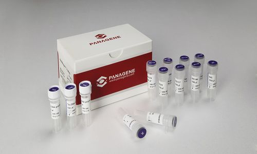 溶液试剂 - PNAR-2001 - Panagene Inc. - 用于癌症 / 液体 / 用于 NRAS 变异