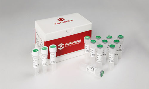 溶液试剂 - PNAR-1001 - Panagene Inc. - 用于癌症 / 液体 / 用于 KRAS 变异