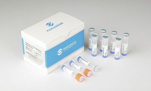 癌症快速诊断套装 - PNACIamp™ - Panagene Inc. - 肿瘤科 / 用于 NRAS 变异 / 组织