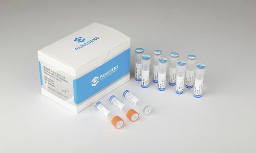 肺癌快速诊断套装 - PNACIamp™ - Panagene Inc. - 肿瘤科 / 用于 EGFR 变异 / 组织