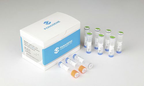 癌症快速诊断套装 - PNACIamp™ - Panagene Inc. - 肿瘤科 / 用于 KRAS 变异 / 铅