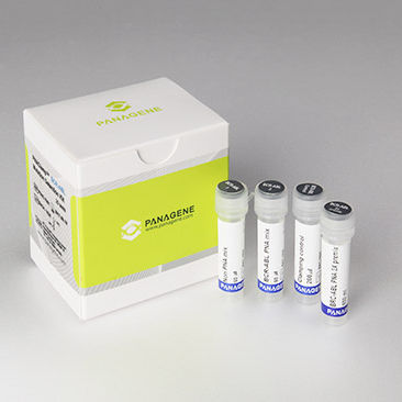 白血病快速诊断套装 - PNACIamp™ - Panagene Inc. - 组织 / RT-PCR